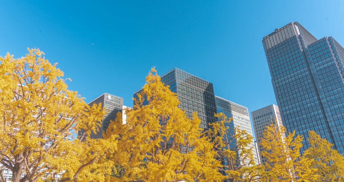 転職回数が多いと印象が悪い？採用担当者の本音と逆転する方法！