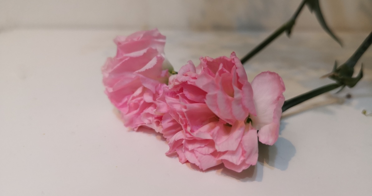 彼女との価値観が合わないけど別れるべき？後悔しない選択の仕方とは